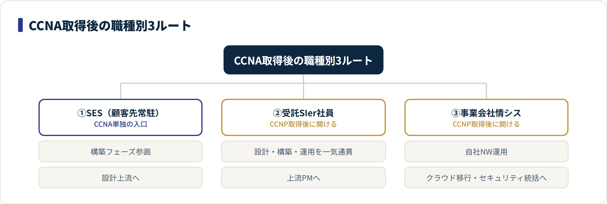 CCNA・CCNP取得後の職種別キャリアルート3系統を示す分類図。